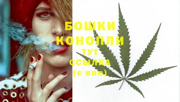 меф Богородицк
