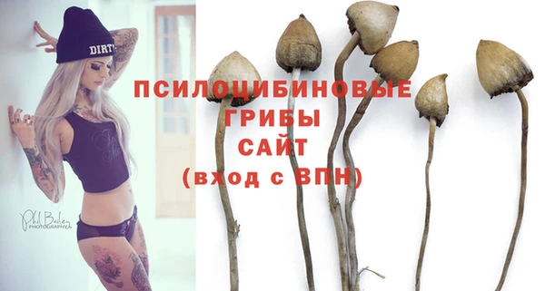 меф Богородицк